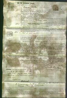 Court of Common Pleas - Frances Head-Original Ancestry