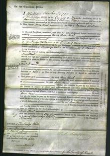 Court of Common Pleas - Ann Neal-Original Ancestry