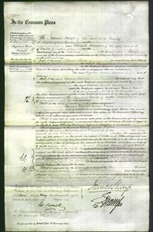 Court of Common Pleas - Elizabeth Emma Noakes-Original Ancestry