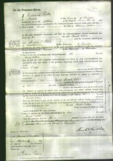 Court of Common Pleas - Sarah Cotton-Original Ancestry