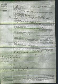 Court of Common Pleas - Anne Cox-Original Ancestry