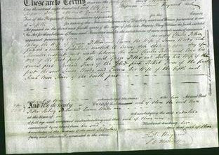 Deed by Married Women - Ann Potter, Betsey Potter and Emma Woods-Original Ancestry