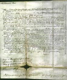 Court of Common Pleas - Sally Buchanan-Original Ancestry