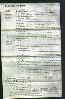 Court of Common Pleas - Mary Roberts-Original Ancestry