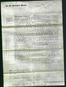 Court of Common Pleas - Jane Somerset-Original Ancestry