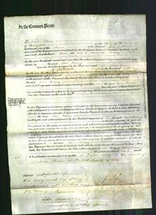 Court of Common Pleas - Ann Maisey-Original Ancestry