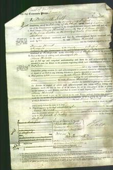Court of Common Pleas - Maria Hilditch-Original Ancestry