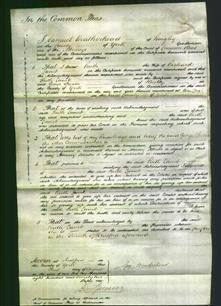 Court of Common Pleas - Ruth Lamb-Original Ancestry