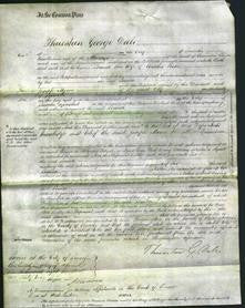 Court of Common Pleas - Louisa Picker-Original Ancestry