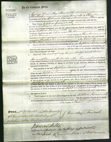 Court of Common Pleas - Sophia Susannah Meers-Original Ancestry