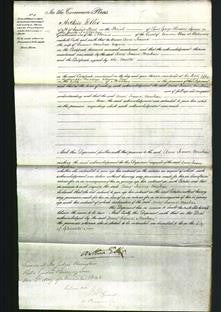 Court of Common Pleas - Anne Joanna MacBean-Original Ancestry