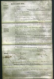 Court of Common Pleas - Harriet Belleley-Original Ancestry