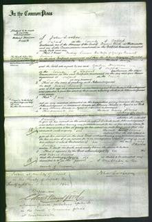 Court of Common Pleas - Mercy Simms-Original Ancestry