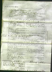 Court of Common Pleas - Catherine Jane Lawrence-Original Ancestry