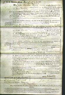 Court of Common Pleas - Jane Melmore-Original Ancestry