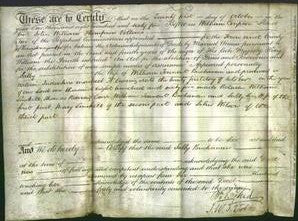 Deed by Married Women - Sally Buchanan-Original Ancestry
