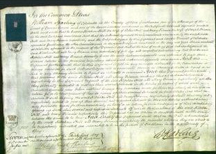 Court of Common Pleas - Kitchen Hill, Mary Firmin-Original Ancestry