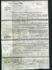 Court of Common Pleas - Rachel Hanbury-Original Ancestry