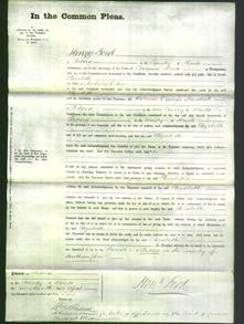 Court of Common Pleas - Elizabeth Low-Original Ancestry