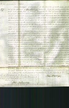 Court of Common Pleas - Elizabeth Venables-Original Ancestry