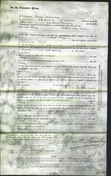 Court of Common Pleas - Mary Davis-Original Ancestry