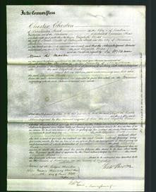 Court of Common Pleas - Elizabeth Rudd-Original Ancestry