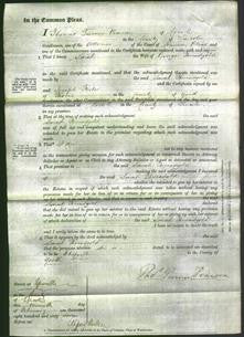 Court of Common Pleas - Sarah Threadgold-Original Ancestry