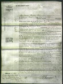 Court of Common Pleas - Augusta Bolton-Original Ancestry