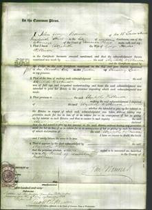 Court of Common Pleas - Elizabeth Wilkinson-Original Ancestry