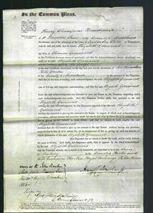 Court of Common Pleas - Elizabeth Greenwood-Original Ancestry