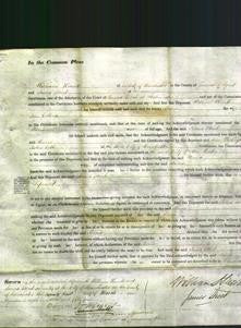 Court of Common Pleas - Maria Collins-Original Ancestry