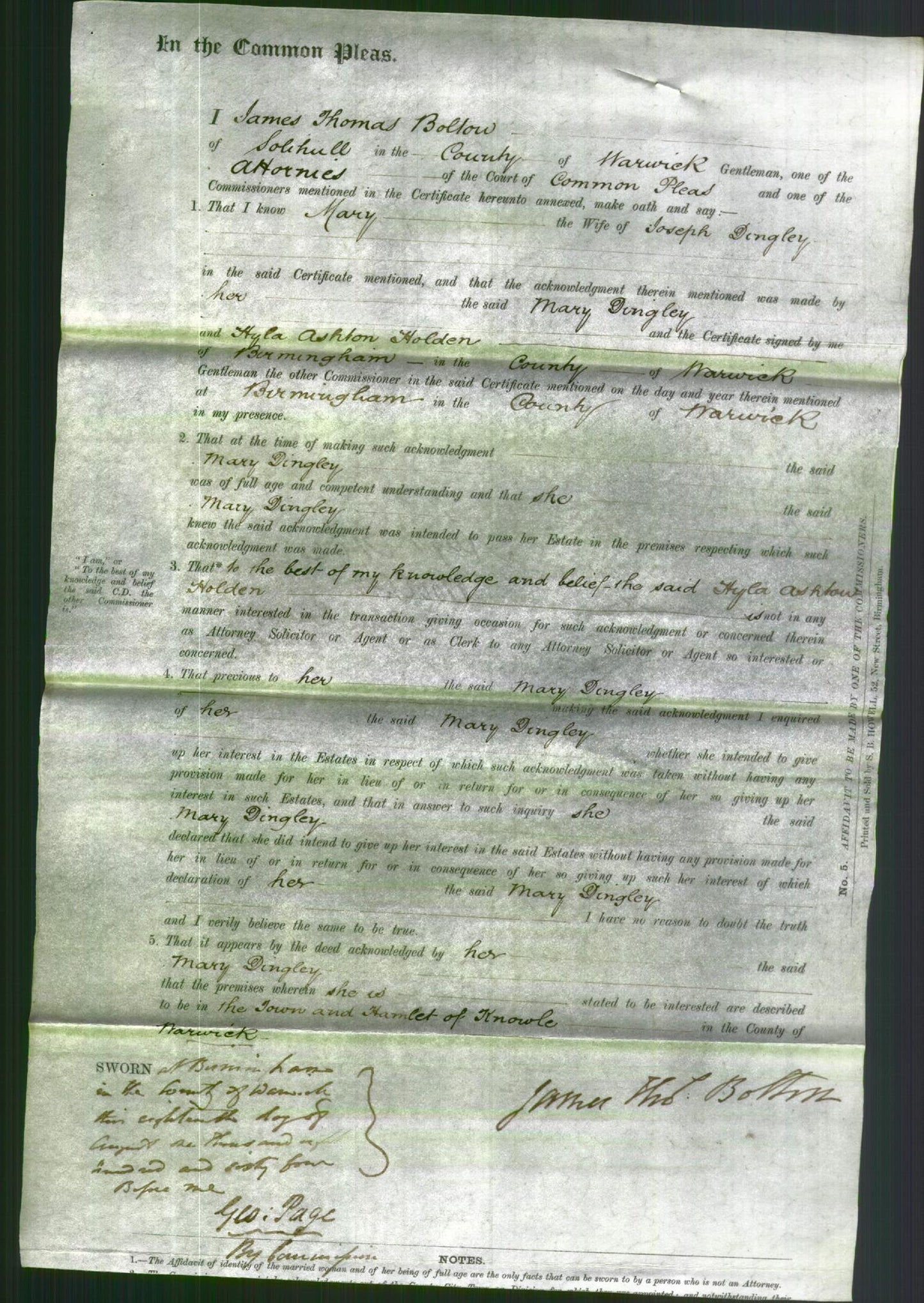 Court of Common Pleas - Mary Dingley