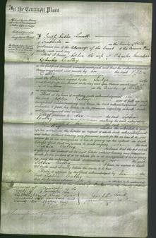 Court of Common Pleas - Sophia Culley-Original Ancestry