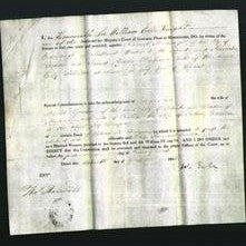 Appointment of Special Commissioners - Richard MacKenzie, Alexander Brown and James Peddie Falkner-Original Ancestry