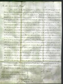 Court of Common Pleas - Maria Goodwin-Original Ancestry
