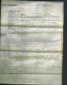 Court of Common Pleas - Mary Horsbrough-Original Ancestry