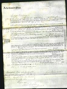 Court of Common Pleas - Elizabeth Nixon-Original Ancestry