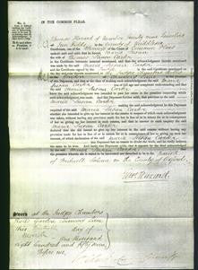 Court of Common Pleas - Maria Susan Carter-Original Ancestry