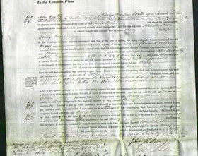 Court of Common Pleas - Mary Davis-Original Ancestry