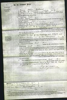 Court of Common Pleas - Sarah Amos-Original Ancestry