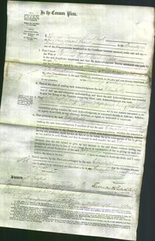 Court of Common Pleas - Elizabeth Cartwright-Original Ancestry