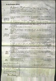 Court of Common Pleas - Fanny Roxworthy-Original Ancestry