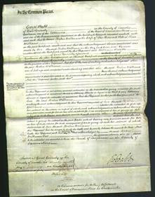 Court of Common Pleas - Helen Williams-Original Ancestry
