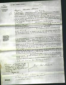 Court of Common Pleas - Elizabeth Prentice-Original Ancestry