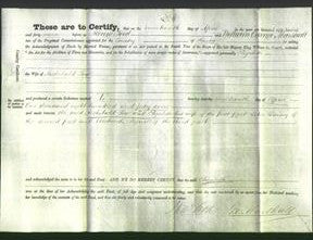 Deed by Married Women - Elizabeth Low-Original Ancestry