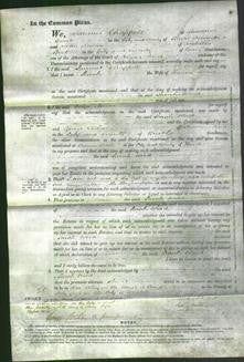 Court of Common Pleas - Sarah Wood-Original Ancestry