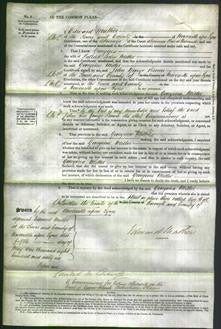 Court of Common Pleas - Georgina Miller-Original Ancestry