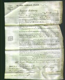 Court of Common Pleas - Caroline Waklen-Original Ancestry