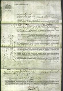 Court of Common Pleas - Mary Ann Jauncey-Original Ancestry