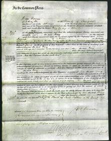 Court of Common Pleas - Mary Ryale-Original Ancestry